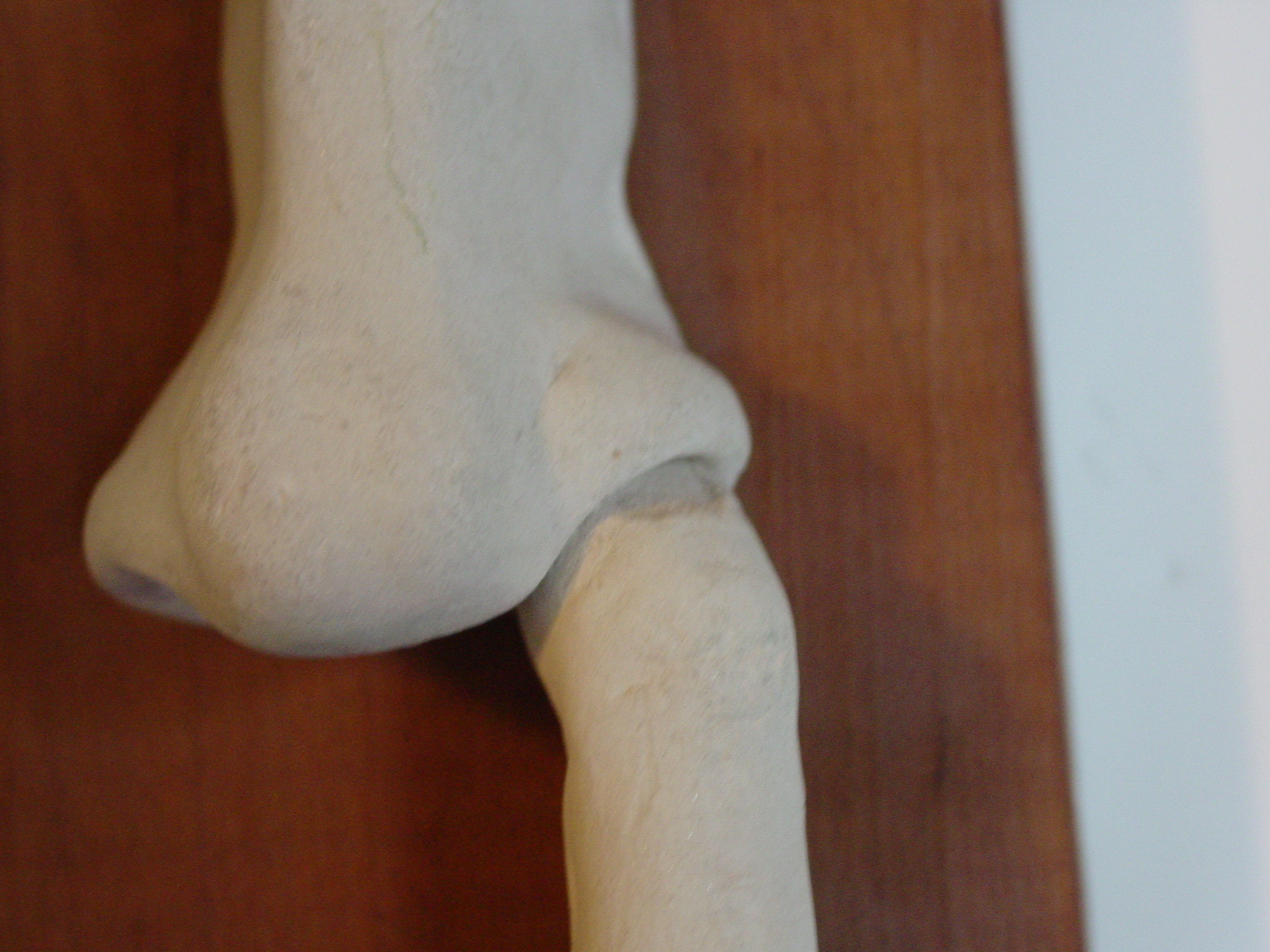 Fourth Grade Sculptor